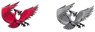 athletic