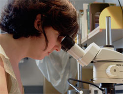 Dr. Kristen Porter-Utley
