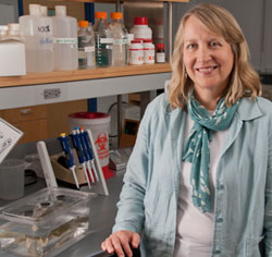 Biology Professor and 2012 Distinguished Teacher Susan